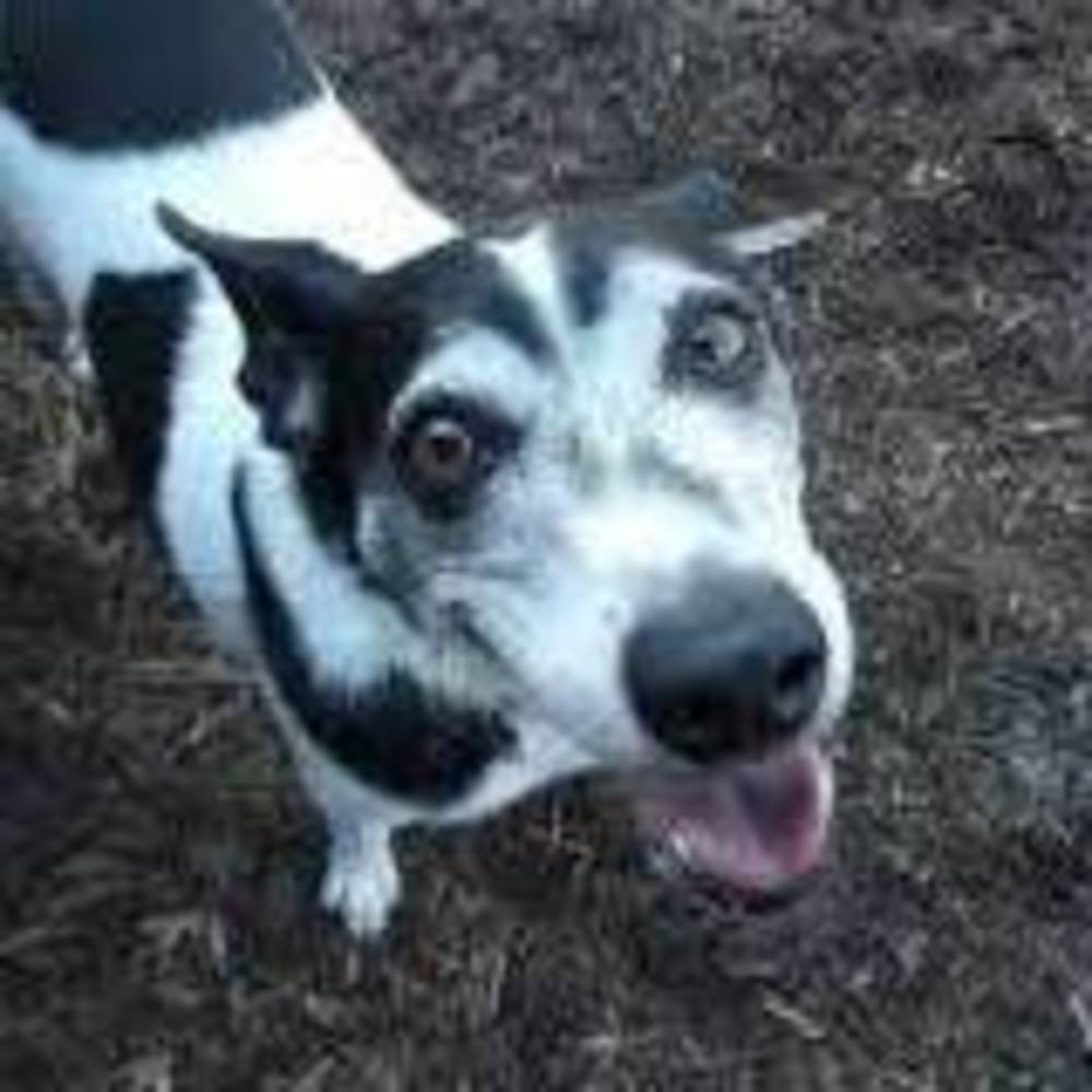 Meet your Posher, Lance